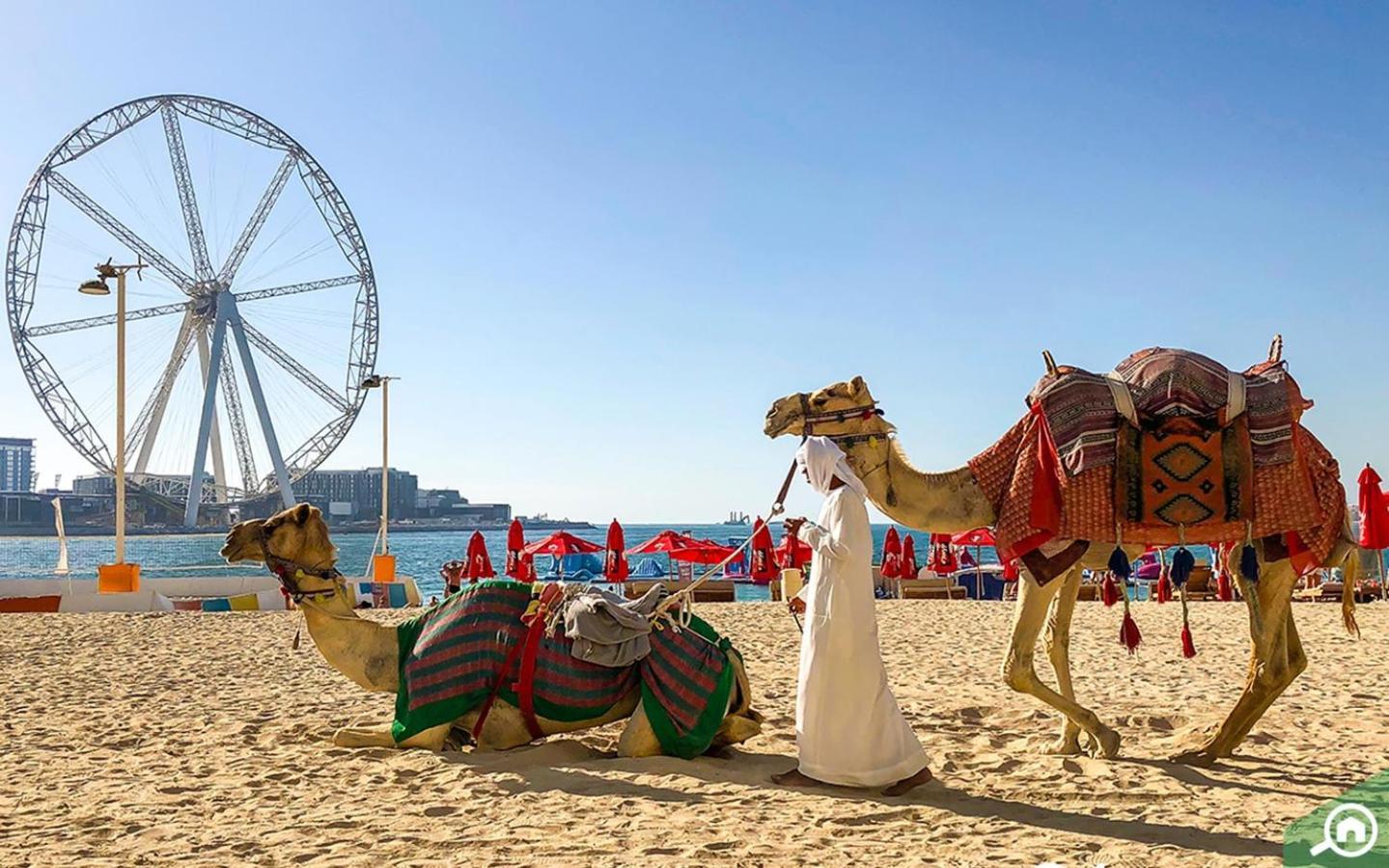 Bahar Jbr By Happy Season Dubai